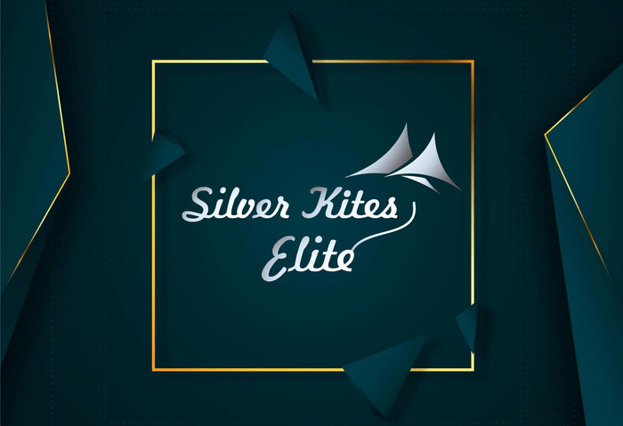 Silver Kites